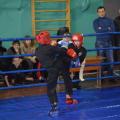 2014_turnir_molodoy_tigr_kikboksing_wpka_severodoneck_06.jpg