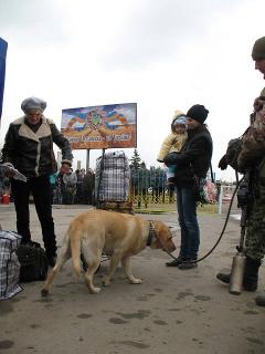 Тука: «За два тижні пішохідним переходом у Станиці Луганській скористалося близько 20 000 осіб»