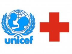 В Луганск прибыла гуманитарная помощь ЮНИСЕФ и Красного Креста 