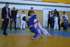 В Рубежном прошли областные соревнования среди юных дзюдоистов