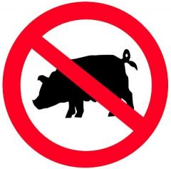 Обережно: Африканська чума свиней!