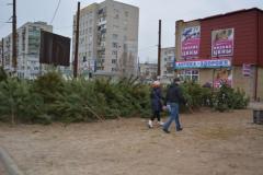 В Северодонецке новогодние ели продают от 70 грн.