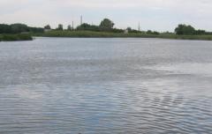 Якість води в озерах Чисте та Паркове вкрай незадовільна